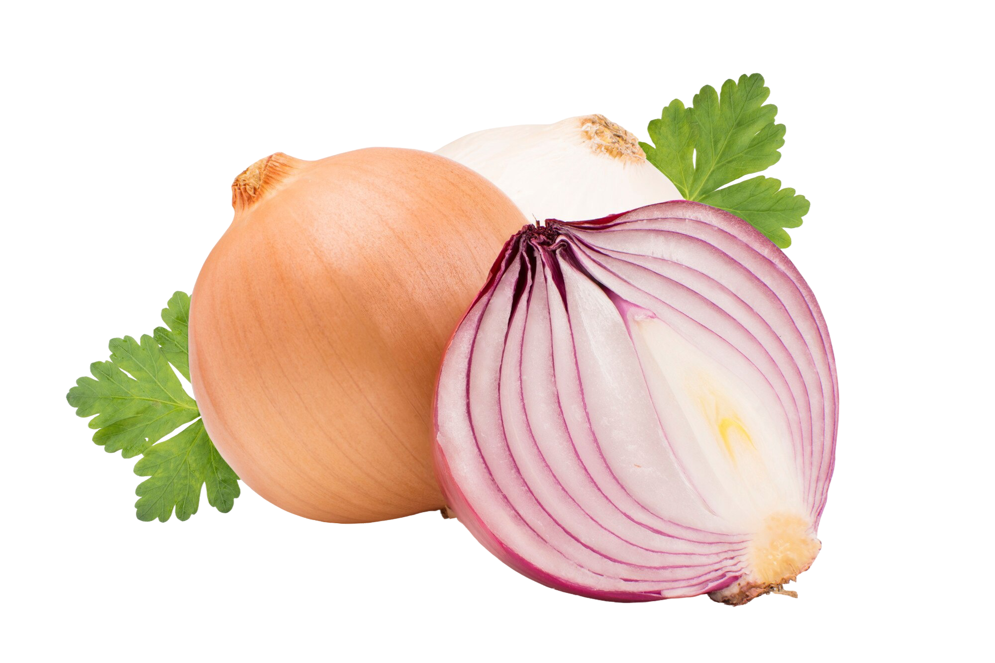 onions-iimg